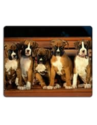 Office Product: Boxer Puppies Dogs Pets Animals Mouse Pads Customized Made to Order Support Ready 9 7/8 Inch (250mm) X 7 7/8 Inch (200mm) X 1/16 Inch (2mm) High Quality Eco Friendly Cloth with Neoprene Rubber Luxlady Mouse Pad Desktop Mousepad Laptop Mousepads Comfortable Computer Mouse Mat Cute Gaming Mouse pad - Luxlady