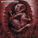 Houwitser-Rage Inside The Womb