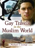 Gay Travels in the Muslim World (Out in the World)