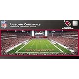 MasterPieces NFL Stadium Panoramic Jigsaw Puzzle, 1000-Piece