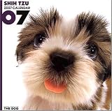 Shih Tzu - THE DOG 2007 Wall Calendar