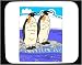 Decorated Mouse Pad with ice, emperor, penguins