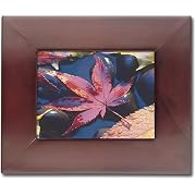 Westinghouse 5.6-Inch LCD Digital Photo Frame