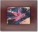 Photo : Westinghouse 5.6-Inch LCD Digital Photo Frame