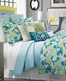 1891 SFERRA TWIN BROADWAY AQUA GREEN DUVET COVER 2 PIECE SET