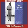 A&P: A Short Story from The John Updike Audio Collection