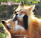 2013 Baby Zoosters Wall Calendar