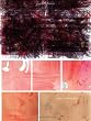 Abstract Comics: The Anthology