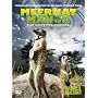 Meerkat Manor - Series 4 - Complete [DVD] [2008]