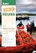 Fodor's See It Ireland, 4th Edition (Full-color Travel Guide)