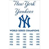 New York Yankees Championship Applique Banner Flag by FansEdge