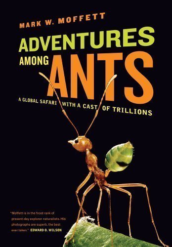 Adventures Among Ants: A Global Safari with a Cast of Trillions by Moffett, Mark published by University of California Press (2012)