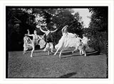 Newswire Photo (XL): Denishawn dancers