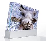 Cute Kitty Cat Decorative Protector Skin Decal Sticker for Nintendo Wii Con ....