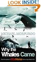 Why the Whales Came