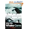 Why the Whales Came