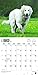 Great Pyrenees 2017 Calendar