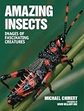 Amazing Insects: Images of Fascinating Creatures