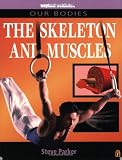 Muscles and Skeleton (Our Bodies)