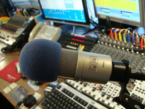 Heil Pro 40 Broadcast Microphone