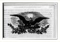 Historic Print (M): American bald eagle