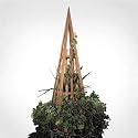 Cedar Obelisk