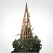 Cedar Obelisk
