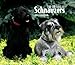 schnauzer4 - Schnauzers For the Love of 2010 Deluxe Wall