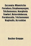 Excavata: Mixotricha Paradoxa, Stephanopogon, Trichomonas, Naegleria Fowleri, Heterolobosea, Parabasalia, Trichomonas Vaginalis, Acrasidae (German Edition)