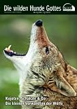 Produkt-Bild: Wolf Magazin: Die wilden Hunde Gottes: Kojote, Schakal & Co - Die kleinen Verwandten der W&ouml;lfe
