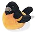 Oriole