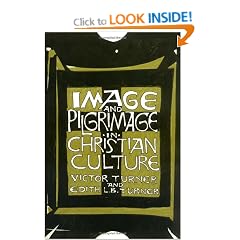Image and Pilgrimage in Christian Culture: Anthropological Perspectives (ACLS Lectures on the History of Religions)