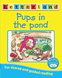 Pups in the pond