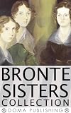 The Bronte Sisters Collection, Charlotte, Emily, Anne: 14 Works, Jane Eyre, Villette, Agnes Grey, The Tenant of Wildfell Hall, The Professor, Shirley, MORE