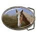 Limited Edition Violano Belt Buckle Draft Horse