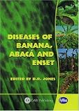 Diseases of Banana, Abaca and Enset