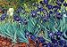 Irises, Saint-Remy, c.1889 Styles Art Poster Print by Vincent van Gogh, 39x27