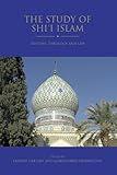 The study of Shi'i Islam : history, theology and law