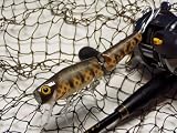 St.Clair Bait Co. Musky Minnow - $9 Bass - Muskie Lure