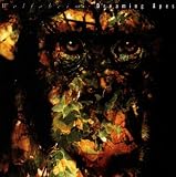Dreaming Apes