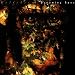 Dreaming Apes