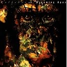 Dreaming Apes
