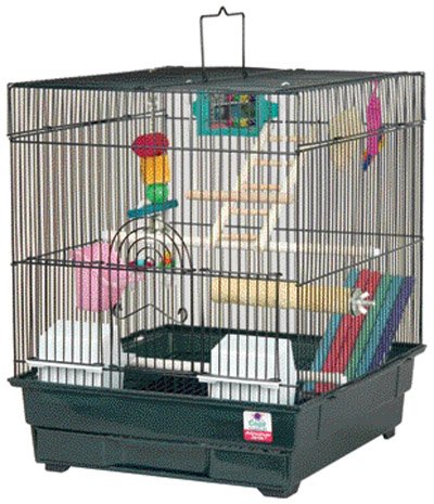 Blue Ribbon 14-Inch by 16-Inch by 17-1/2-Inch 