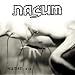 Nasum-Human 2.0