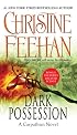 Dark Possession (Carpathian Novels)