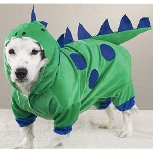 LARGE - Dogzilla Dog Costume