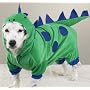 Casual Canine Dogzilla Dinosaur Costume Med