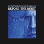 Before the Quiet