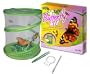 Fascinations GreenEarth Butterfly Kit