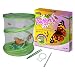 Fascinations GreenEarth Butterfly Kit